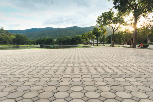 Best Residential Driveway Paver Services  in Dell Rapids, SD